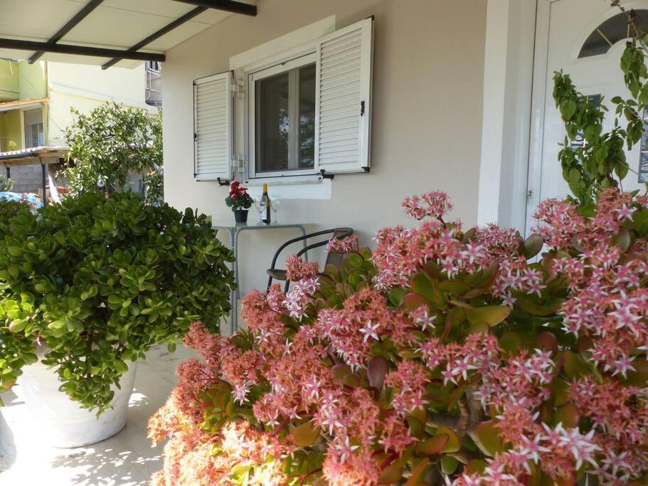 Michaels Flower House Kanálion المظهر الخارجي الصورة